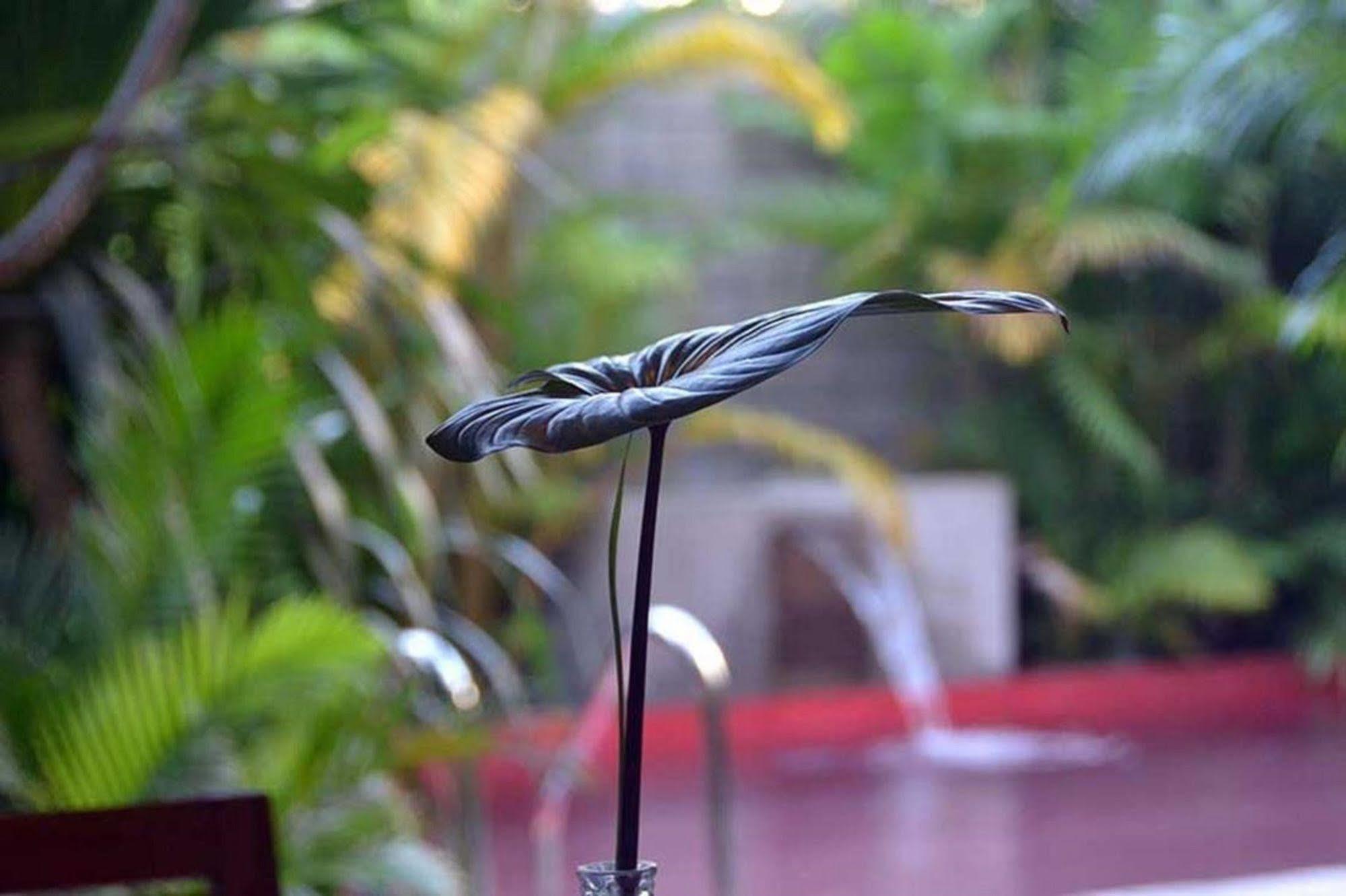 Tranquil Villa Phnom Penh Ngoại thất bức ảnh